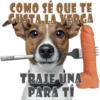 Perros Groseros 1 Para Pelea 10