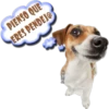 Perros Groseros 1 Para Pelea 12