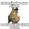 SI ENTENDÍNO SOY
BURRO
esOYCHOoQomILO
LOQUE PASA ES QUEME
ABURRO