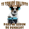 Perros Groseros 1 Para Pelea 14