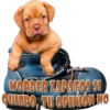 Perros Groseros 1 Para Pelea 15