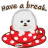 Have a break
@lexa
: