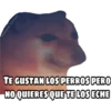 En fin la hipocresía 12