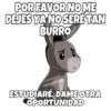 PORFAVOR NO ME
DEJES YA NO SERÉTAN
BURRO
JOSEJUANLR98
esoYCHOOQOMLO
ESTUDIARÉ, DAME OTRA
OPORTUNIDAD
