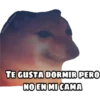 En fin la hipocresía 13