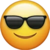 Emoji Expression 17