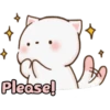 Lovely Cats 16
