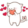 Lovely Cats 17