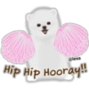@lexa
Hip Hip Hooray!!