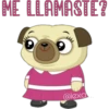 ME LLAMASTE?
@lexa