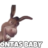 eSOYCHOOQOMILO
ONTAS BABY