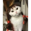 gatos divertidos 22