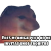 En fin la hipocresía 15