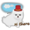 10
@lexa
Hi there