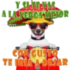 Perros Groseros 1 Para Pelea 20
