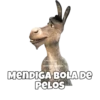 esaycie no
MENDIGA BOLA DE
PELOS