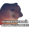 En fin la hipocresía 16