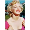 Marilyn Monroe 23