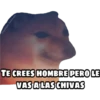 En fin la hipocresía 17