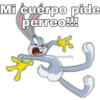 Mi cuerpo pide
perreo!!!
Shooqomilq