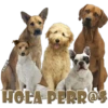 Perros Groseros 1 Para Pelea 24