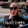 American Horror Story 24