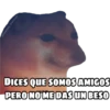 En fin la hipocresía 20