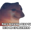 En fin la hipocresía 21