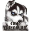 Perros Groseros 1 Para Pelea 25