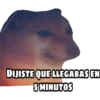 En fin la hipocresía 22