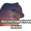 En fin la hipocresía 24