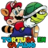 SUPER MARIO 27