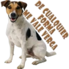 Perros Groseros 1 Para Pelea 27