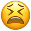 Emoji Expression 27