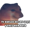 En fin la hipocresía 30