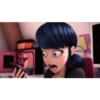 Ladybug 6