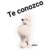 Te conozco
@lexa