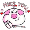 MISS YOU
Shelder hour