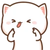 Kitten 7