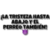 ¡LA TRISTEZA HASTA
ABAJO Y EL
PERREO TAMBIÉN!