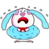 S
helder houng CT