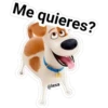 Me quieres?
@lexa