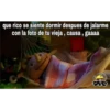 que rico se siente dormir despues de jalarme
con la foto de tu vieja, causa, gaaaa
Frost
CHERO