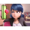 Ladybug 14