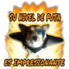 SU NIVEL DE DE PUTA ES IMPRESIONANTE