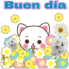 cat-cito tierno 9