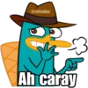 perry-el-ornitorinco-con-frases 14