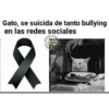 Me dijiste que... 17