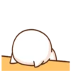 Kitten 12