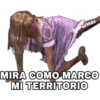 PerHdz
MIRA COMO MARCO
MI TERRITORIO